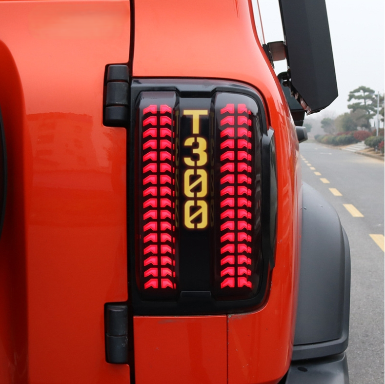 TOPFIRE-TANK 300 Dreamer Edition Tail Light Sets
