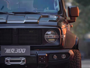 TOPFIRE-TANK 300 Knight Edition Body Kit